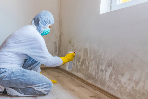 Hvac And Air Duct Mold Remediation inspection of HVAC system in Franklin Park